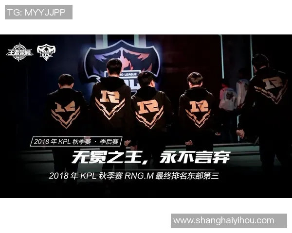 王者荣耀深度解析RNG战队意识与团队协作的成功之道